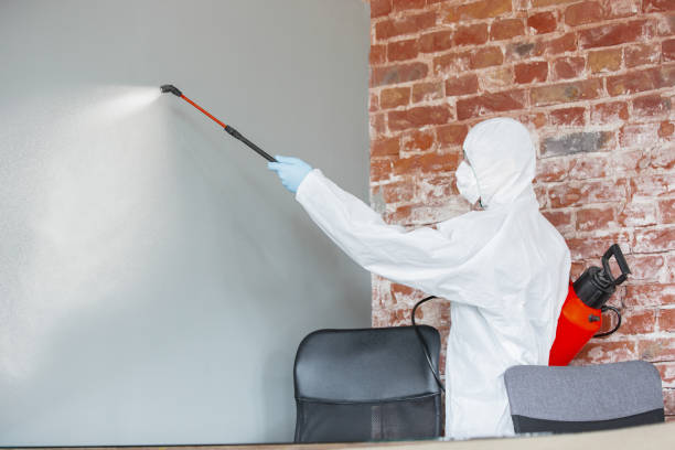 Asbestos and Lead Testing During Mold Inspection in Hartselle, AL