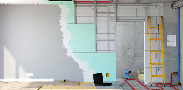 Best Mold Damage Restoration  in Hartselle, AL