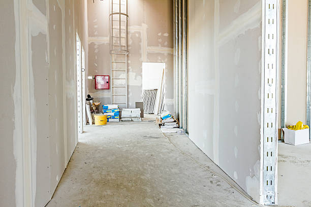 Best Mold Damage Restoration  in Hartselle, AL