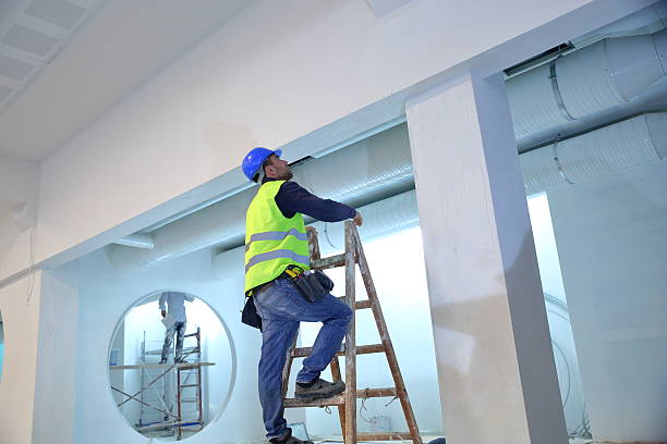 Best Comprehensive Air Testing for Mold Contaminants  in Hartselle, AL