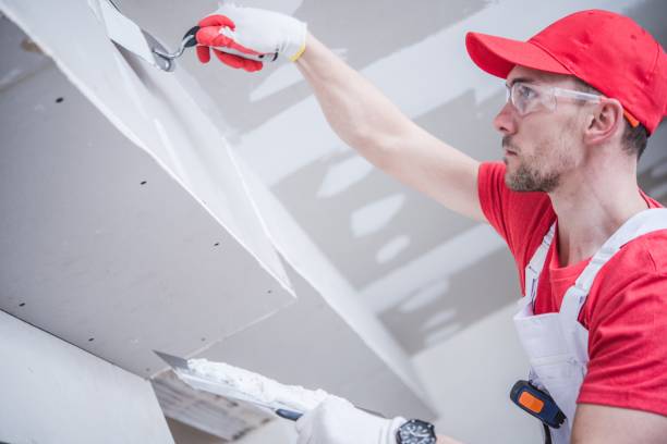 Best Water Damage & Mold Remediation  in Hartselle, AL