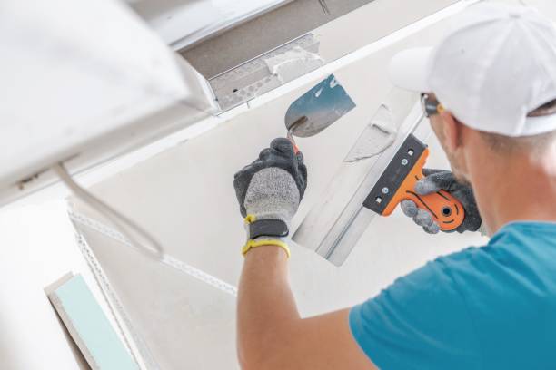 Best Attic Mold Removal  in Hartselle, AL